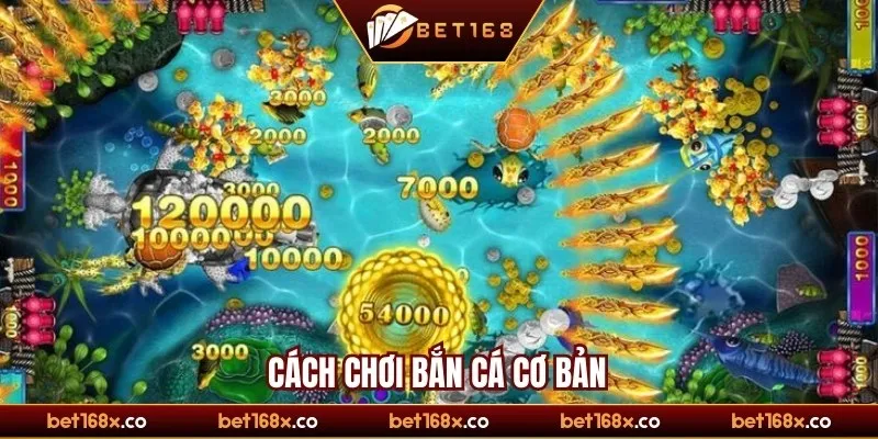 Hướng dẫn cách chơi bắn cá cơ bản cho newbie